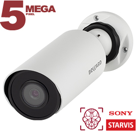 Beward SV3218R2 (2.8/4/6 мм на выбор) Видеокамера IP