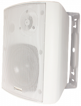 Tantos TSo-SW30k Громкоговоритель