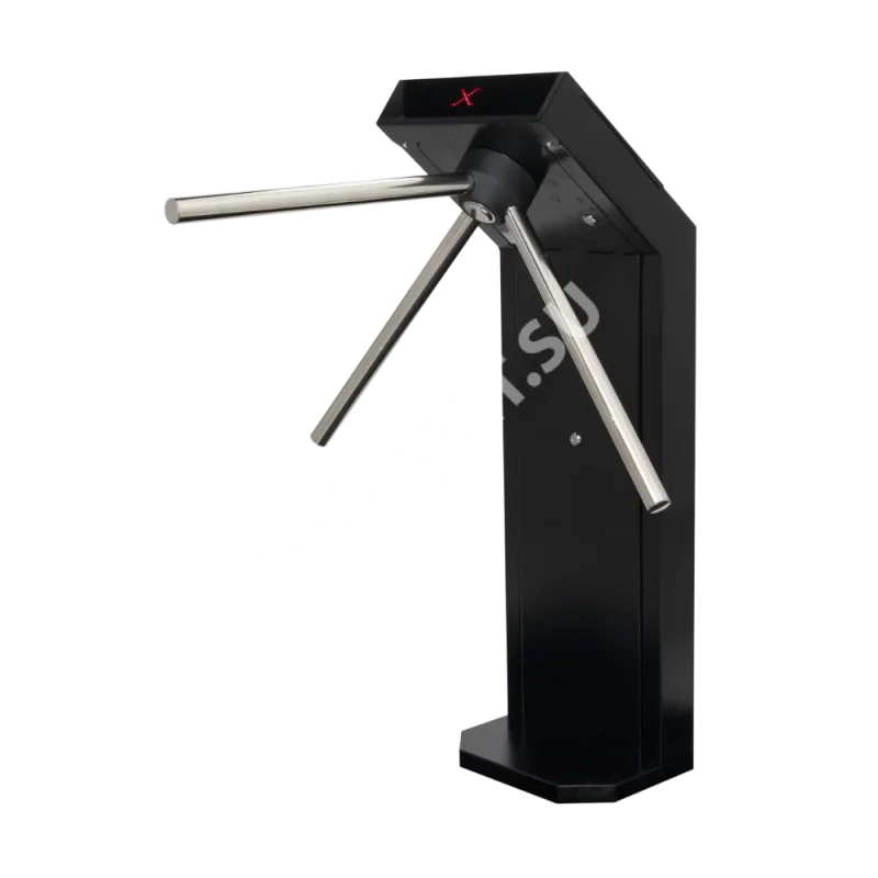 3v-model-v-bg-vid-glavnyj