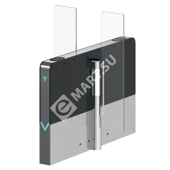 Блокпост VECTOR 500 С центральная секция Турникет распашной