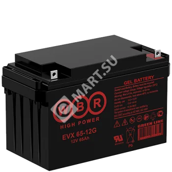 WBR EVX65-12G Аккумулятор
