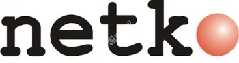 Netko Дверь для шкафа TS,T2 стеклянная 42U Ширина 600 черная, с перфорацией 