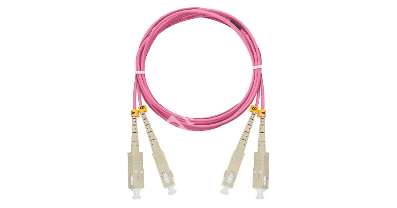 z4vmujqtmer9e6x2nezliyw2blcf9hjo